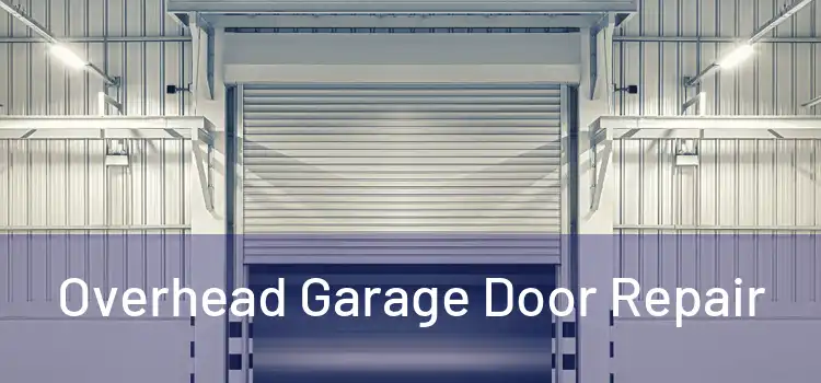 Overhead Garage Door Repair 